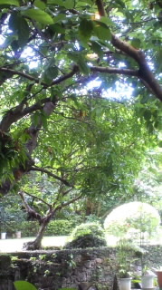 首里ラフォンテ 2011/09/12 11:58:01