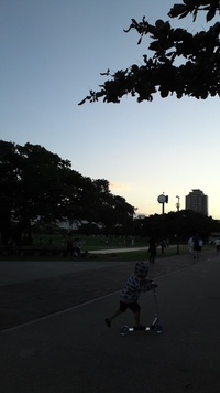 公園散歩 2011/12/04 17:27:37