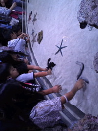 美ら海水族館 2011/10/10 13:17:46
