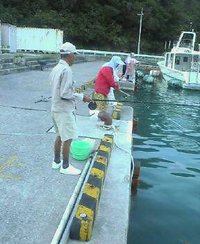 ミジュン釣り 2005/10/18 11:21:18