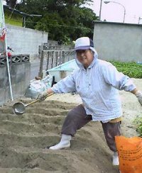 ラッキョウ畑 2005/11/09 14:27:22