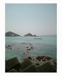 大かをちょう 2006/03/31 14:22:54