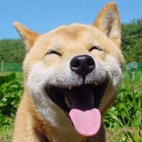 キャッチコピー 2011/09/17 18:18:00