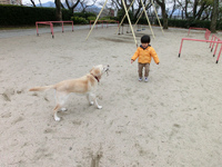 （赤ちゃん＋お兄ちゃん）÷２＝3歳 2012/02/29 10:38:37