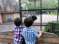 動物園に行ったよ 2012/06/05 12:58:35