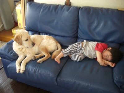 ZZZZZ
