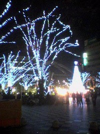美ら島ライブ 2006/12/16 21:06:39