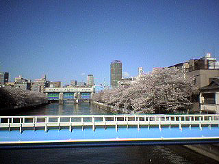 春や春。