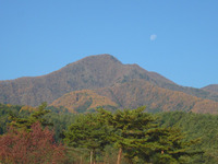 秋の信州 2009/11/07 22:21:19