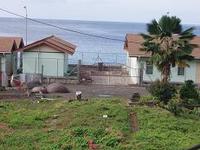 隣で一緒に歩いてくれる人 2006/01/18 08:19:00