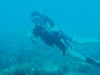 Dive in Bequia 4 2007/01/02 21:17:00