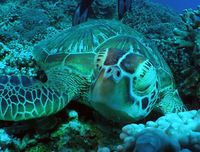 鼻の穴 2009/09/11 20:33:18