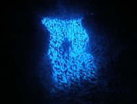 初めての地形ダイブ 2009/09/17 19:39:48