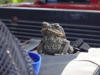 サイパン旅行記⑥～ここが一番？～