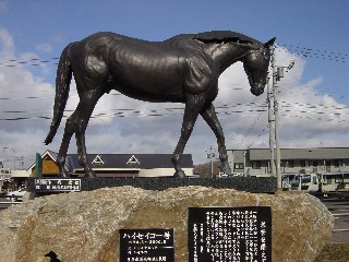 明日は日本ダービー