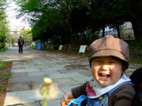 タンポポの綿毛 2008/04/22 22:34:47