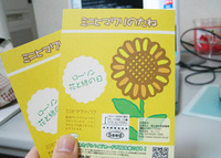 ミニヒマワリのたね