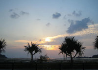 今日の夕日