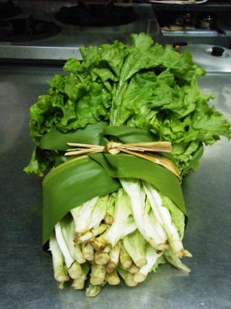 トトロの贈りもの？
