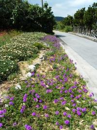 春♪ 2011/04/13 16:41:35