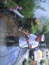 ハマってます。 2008/08/01 11:34:22