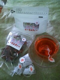 販売中 2009/02/09 15:03:00