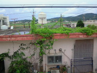 エヴィバディ 2010/06/28 09:05:06