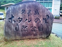 水面にうつるヒカリ 2011/04/27 00:06:56
