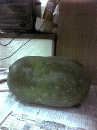 とうがん!!! 2011/10/15 18:16:54