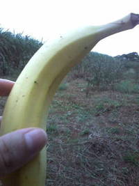 休憩中 2011/11/03 16:05:39