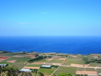 臨時休業のお知らせ 2009/03/10 11:44:19