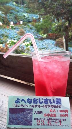 ＠よへなあじさい園