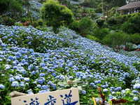 行って来ました 2007/06/05 15:05:00