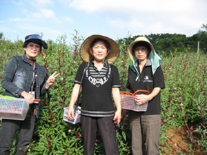 大還暦祭