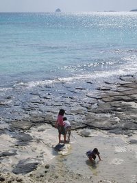散歩 2006/11/12 13:57:28