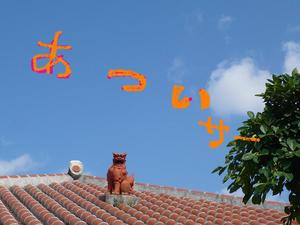 立冬なのに・・・・