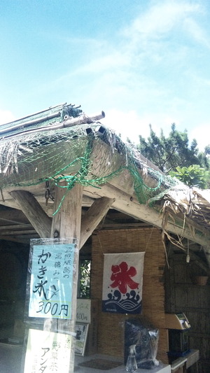 美味しいかき氷、始めました