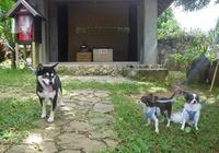 大吉～ 2012/09/16 13:09:40