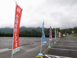 色鮮やか！！！