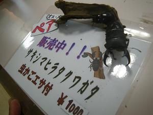 在庫限り！