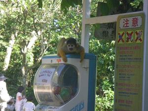 夏休みなので・・。