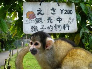 春休みですね。