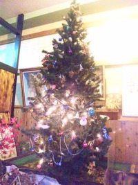 海鮮悟空でクリスマスツリー 2011/11/18 13:16:40