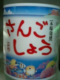 さんごしょう 2007/07/01 12:01:00