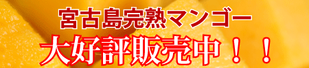 宮古島完熟マンゴー