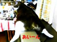 あいーん