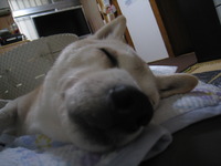 くもり。。。。。 2010/03/08 15:10:17