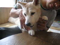 なんだか久しぶりの・・・・・・ 2010/03/23 19:41:43
