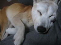四月だ～～～～ 2010/04/05 20:12:53