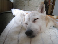 梅雨入り、、、、、 2010/05/08 09:05:45